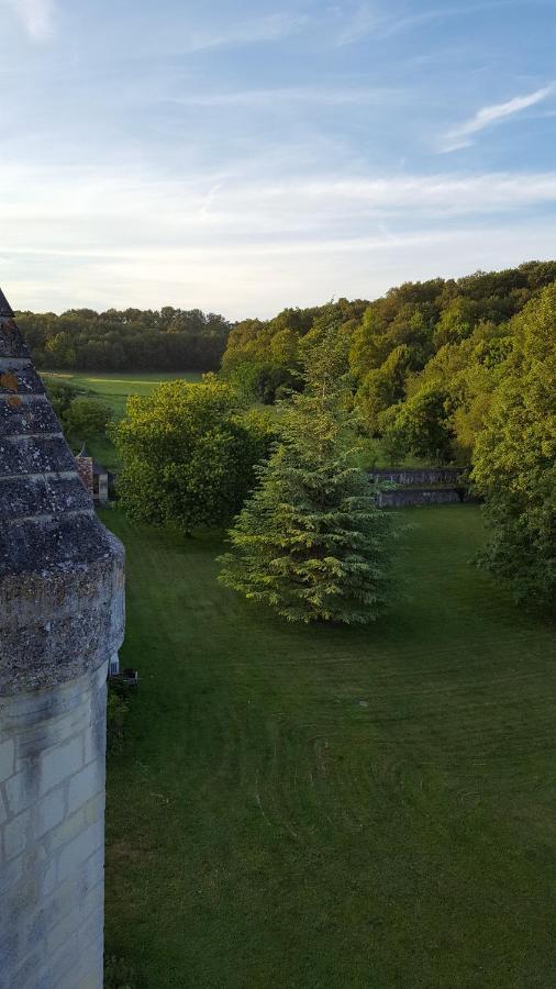 Chateau De Re Le Petit-Pressigny Exteriör bild